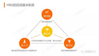 阿里人力资源与组织管理体系.ppt