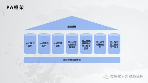 数据产品 人力资源管理的实践与思考 一
