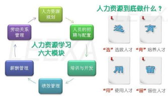 人力资源工作