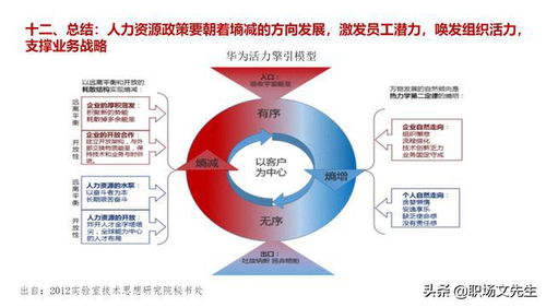 人力资源管理是业务战略落地的保障,华为人力资源体系,经典干货