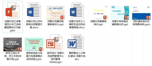 鸿星尔克人力资源