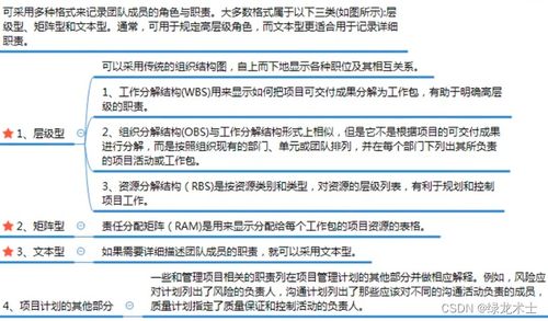 项目人力资源管理