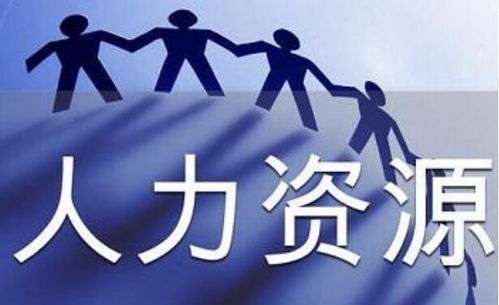 公司如何处理人力资源服务许可证