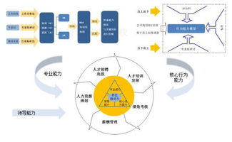 人力资源管理咨询