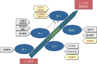 人力资源特征是什么 人力资源特征有哪些具体内容呢