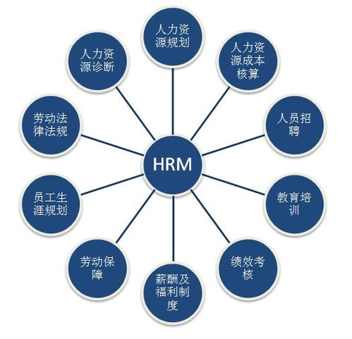 人力资源价值